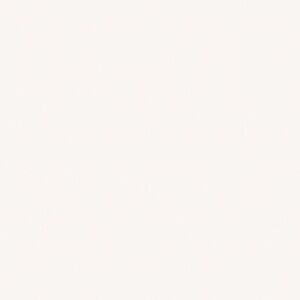 Women’s Clothing Lot